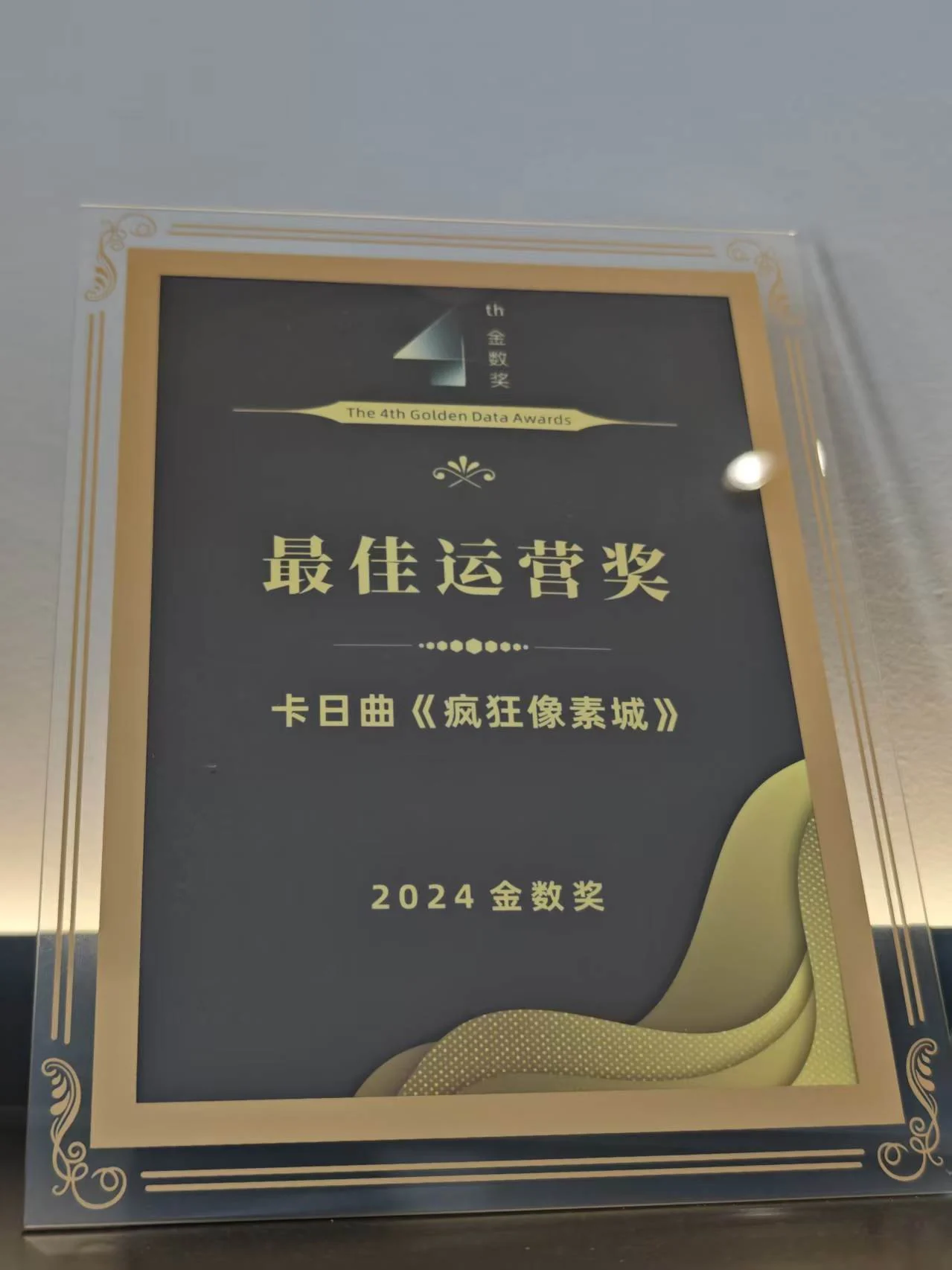 企业荣誉照片 15